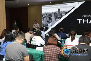 海南湛江頭條事件,揭秘背后真相與影響