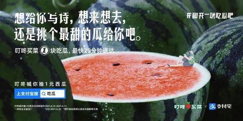 娛樂吃瓜文案去哪里找啊,熱門平臺攻略一覽