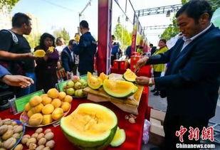 近期吃瓜事件遼寧,揭秘近期熱點(diǎn)事件背后的真相